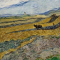 El Museo Lzaro Galdiano exhibe la obra de Vicent van Gogh, Enclosed Field with Ploughman