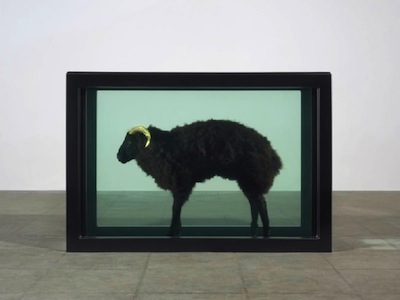 Damien Hirst lo cuenta todo