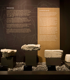 Museo de la Historia de la Villa de Monforte de Cid