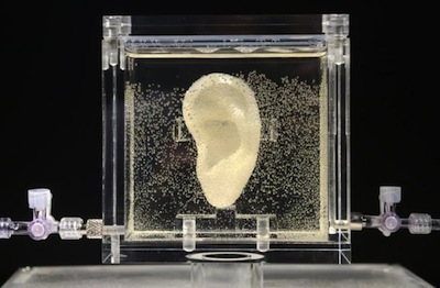 La oreja de van Gogh reencarnada en arte