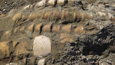 La zona industrial de Pompeya, un tesoro arqueolgico nico, sepultada para siempre