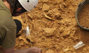 Encuentran en Atapuerca restos de un individuo de la Edad del Bronce antiguo