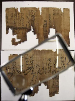 Salen a la luz en el portal Dvctvs 3.500 papiros inditos (siglos VII aC - X)