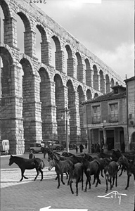 El Ministerio de Cultura publica en internet los fondos de la Fototeca del Patrimonio Histrico