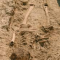 Encuentran dos esqueletos humanos del siglo IV en las excavaciones del yacimiento de 