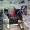 Descubierta una puerta monumental romana en un castro vetn de Salamanca